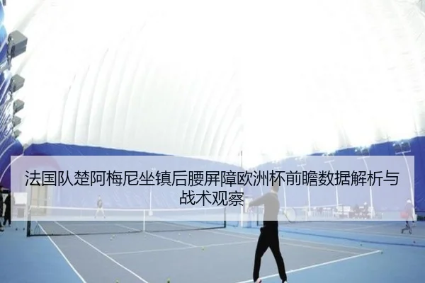 法国队楚阿梅尼坐镇后腰屏障欧洲杯前瞻数据解析与战术观察
